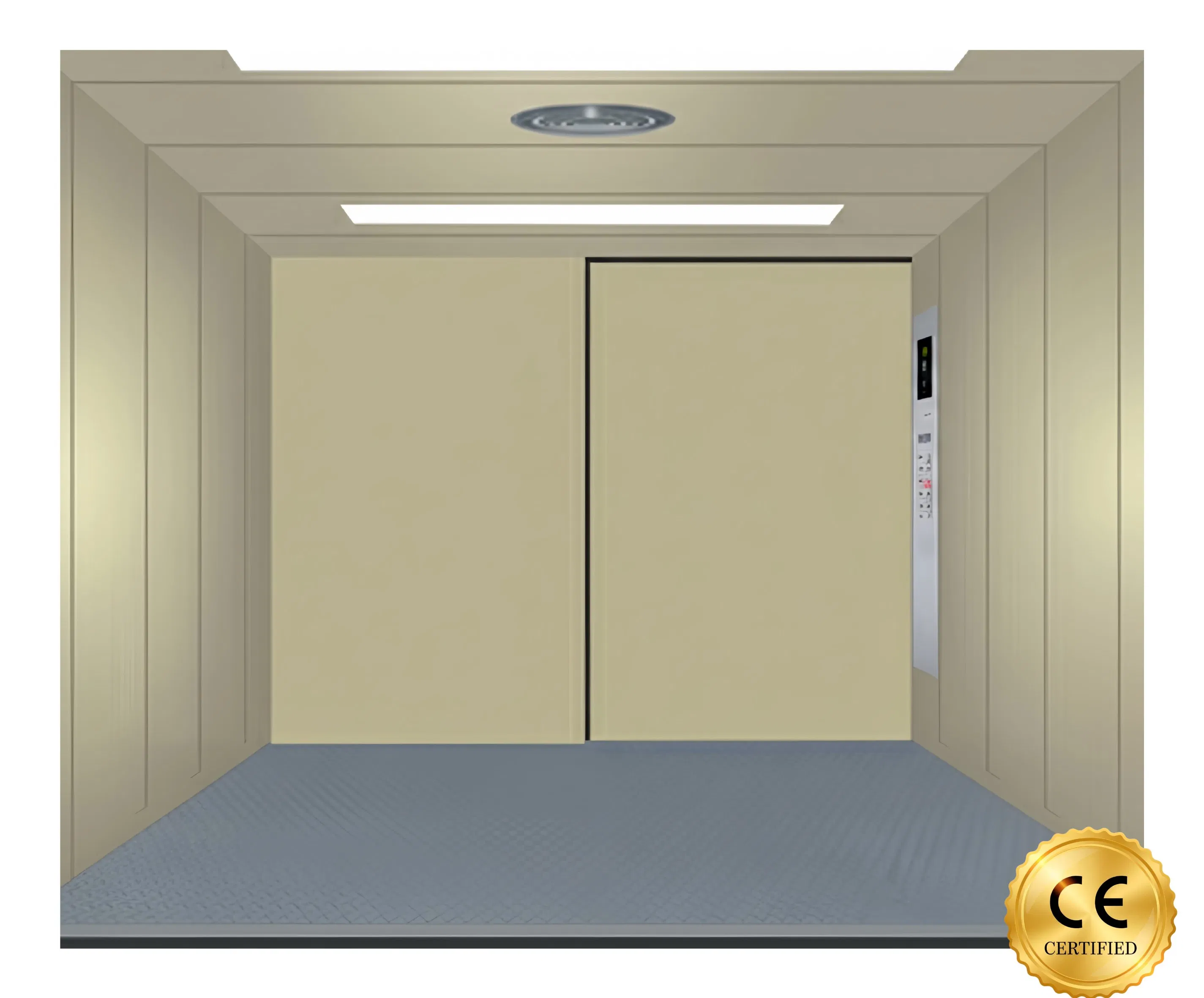 Fujivista Dual-Use Cargo Elevator for Warehouse Cold Storage Modern AC Factory Direct Supply Passenger Elevator for Industrial Plant