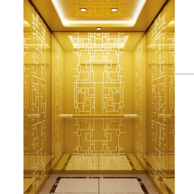 Machine Roomless Passenger Elevator Stretcher Elevator Home Elevator with Good Price