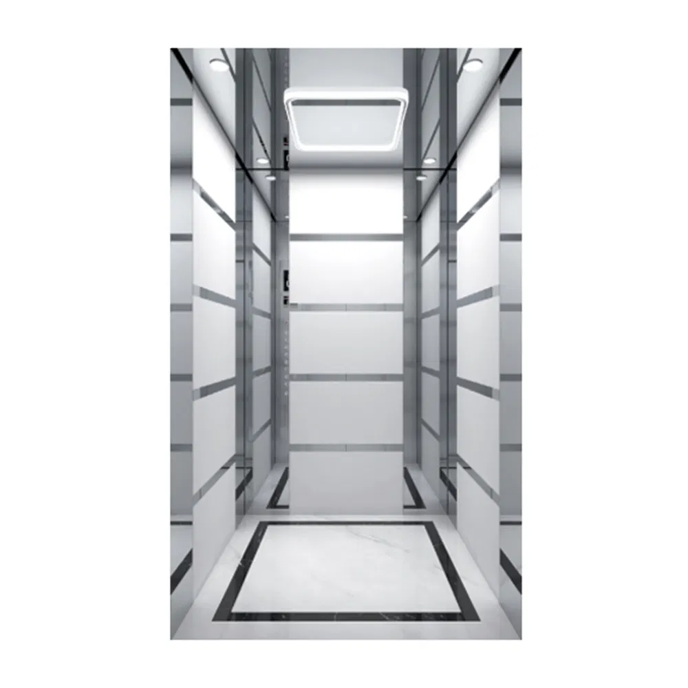 FUJI China Commercial Outdoor Lift FUJI Traction Residential 8 Person Passenger Elevator