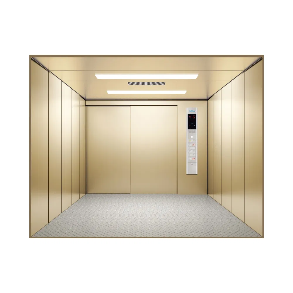 Fujivista High Capacity Smooth Operation Saves Energy Efficient Freight Goods Elevator