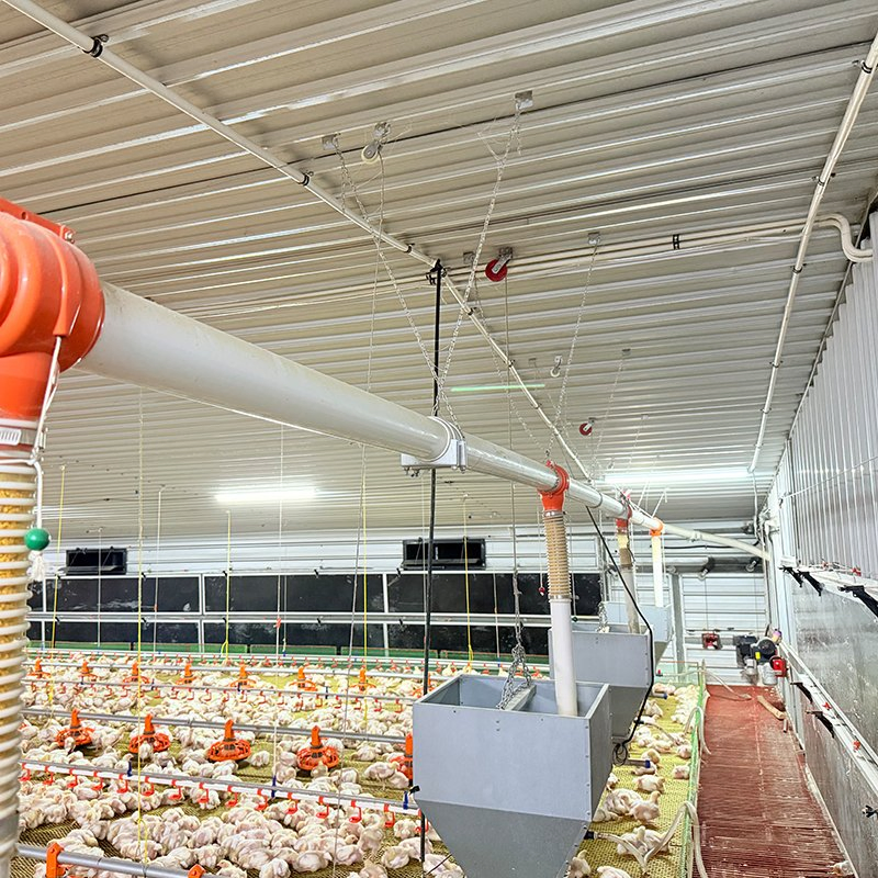 High-Quality Compact Fill System Equipment Lightweight Construction Smooth Material Transport Fast Setup Easy Operation Suitable for Poultry Farms