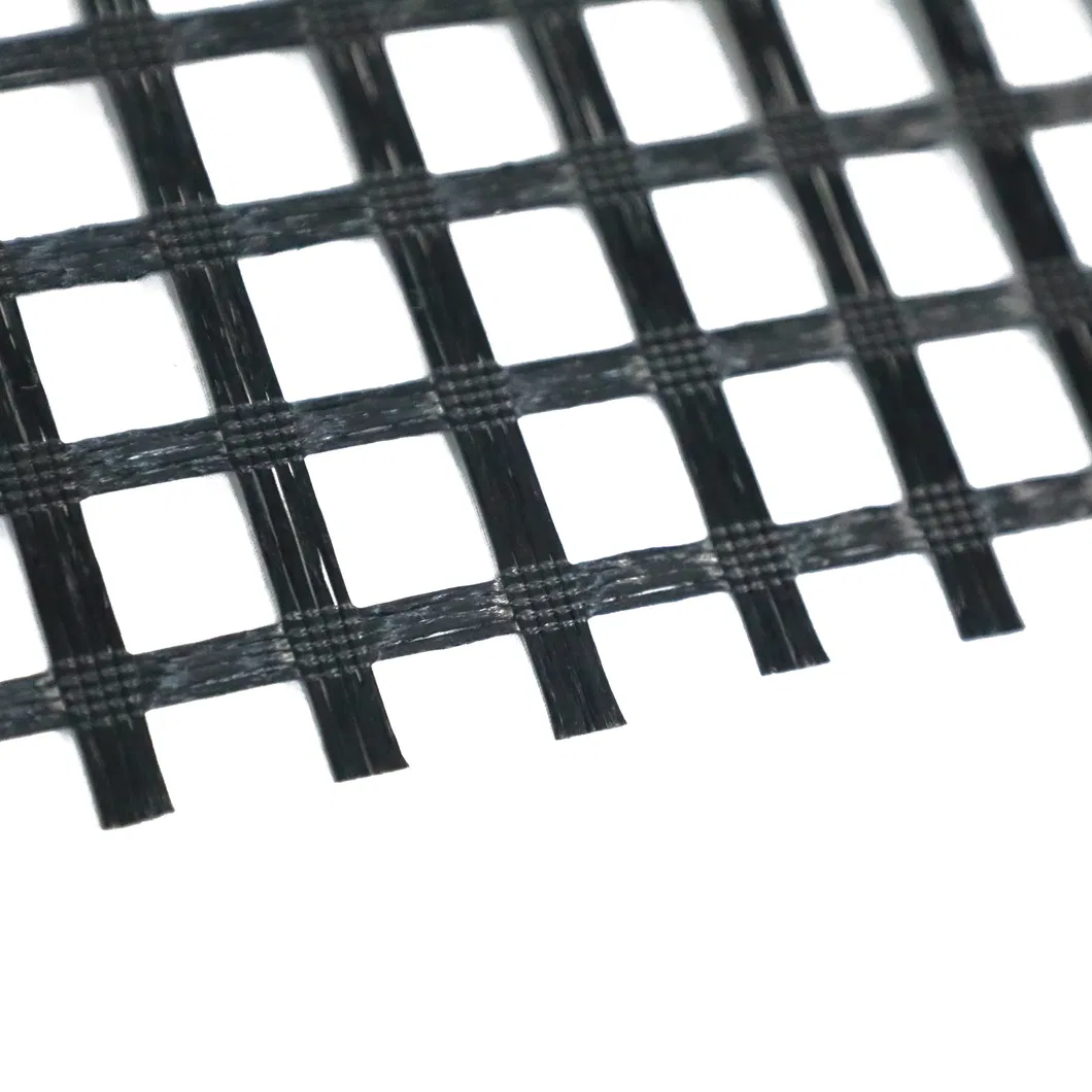 Geogrid Detail 2