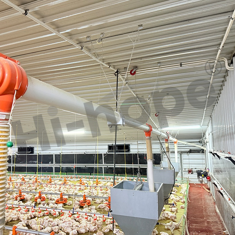 Compact Reliable Fill System Equipment Sturdy Construction Easy Installation Low Maintenance Smooth Material Transport Ideal for Layer Farms