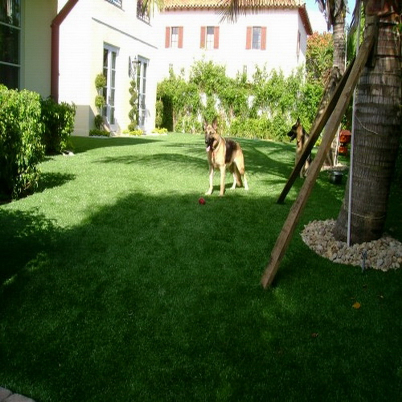 Jiangsu Artificial Turf Decorative Turf Landscaping