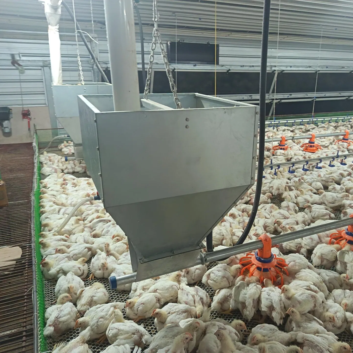 Compact Reliable Fill System Equipment Sturdy Construction Easy Installation Low Maintenance Smooth Material Transport Ideal for Layer Farms