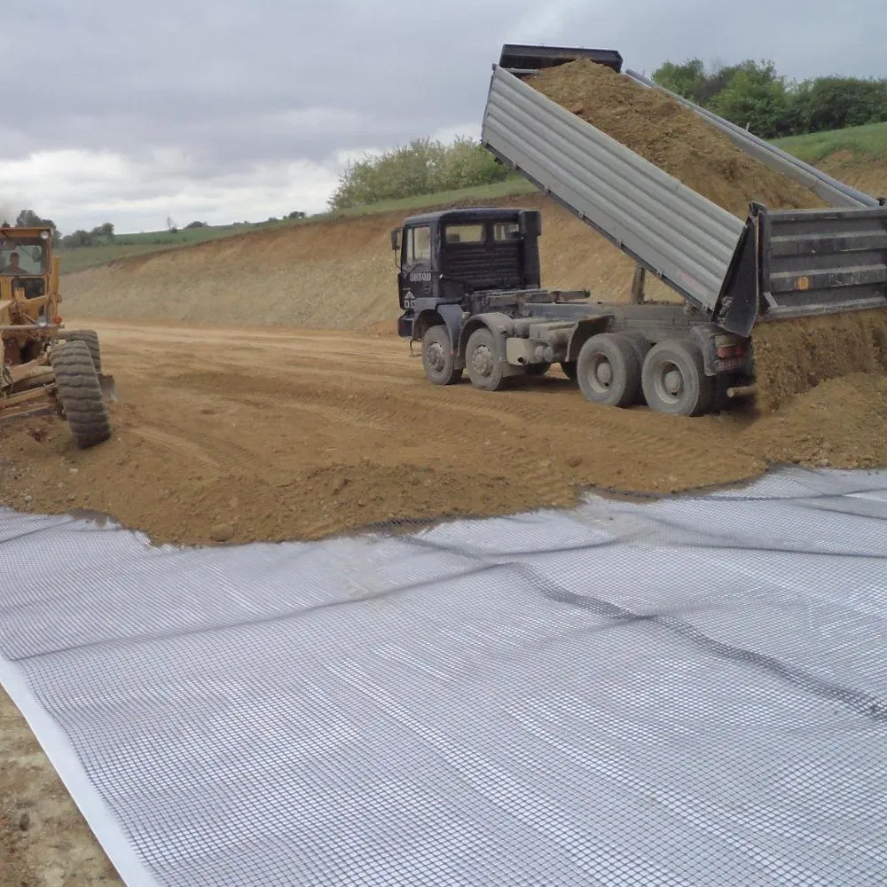 Biaxial Geogrid Fiber Glass Glassfber Geogrid Glass Fiber Geogrid Solution Driveway Paving Geogrid Plastic Geogrid for Roadworks Highways and Driveway