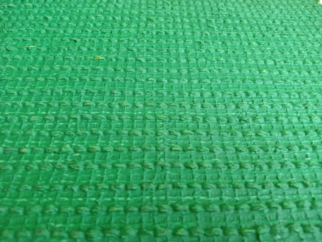 Artificial Lawn Turf 2