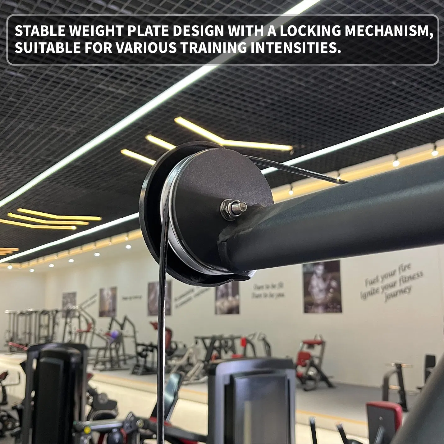 Steel Construction Safe Durable High Performance High Quality Factory Price Compact Design Easy Assembly Commercial Strength Training Premium Gym Equipment
