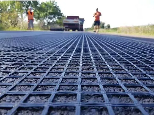 Geogrid Paving
