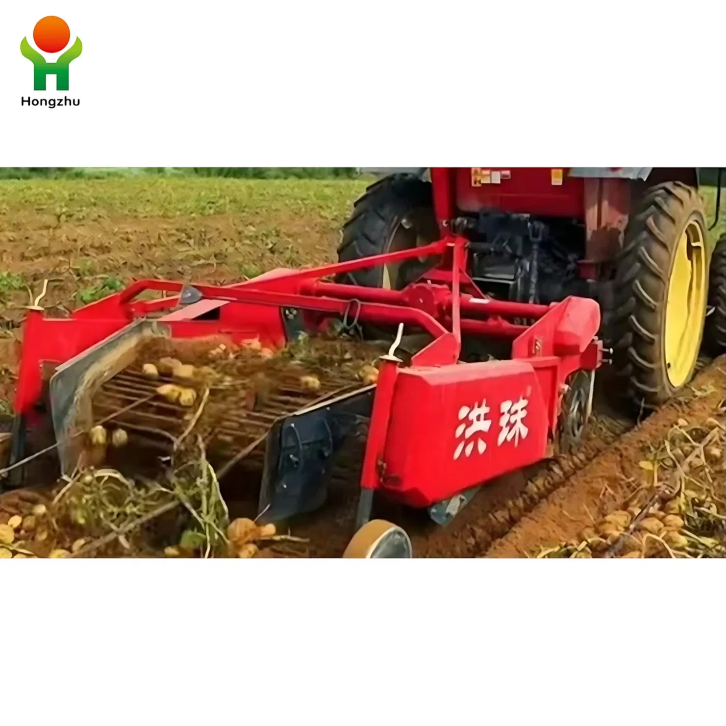 Tractor 3 Point Mounted Potato Harvester Machine 2 Rows Mini Potato Digger with CE