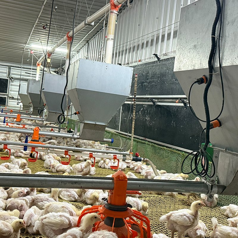 High-Quality Compact Fill System Equipment Lightweight Construction Smooth Material Transport Fast Setup Easy Operation Suitable for Poultry Farms