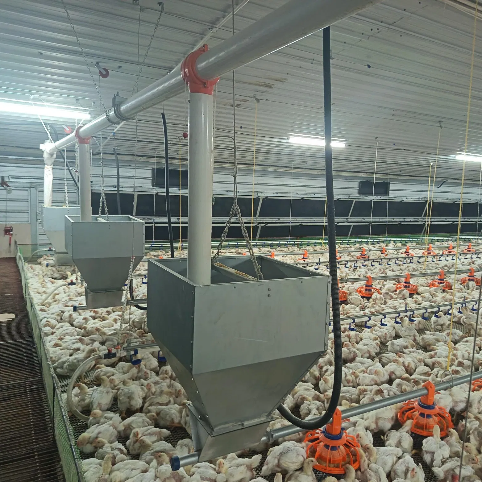 Compact Efficient Fill System Equipment Lightweight Construction Fast Setup Durable Material User-Friendly Operation Ideal for Layer Farms