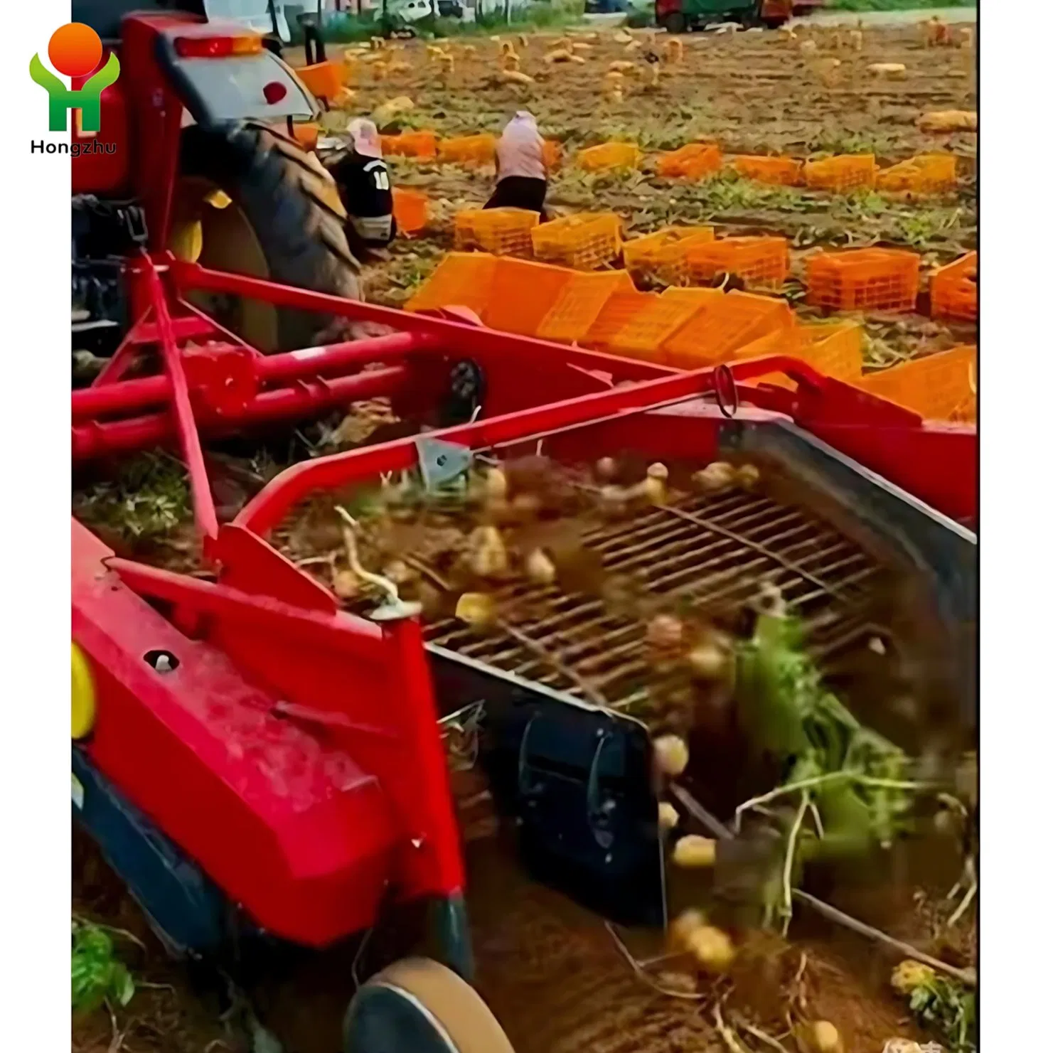 Tractor 3 Point Mounted Potato Harvester Machine 2 Rows Mini Potato Digger with CE