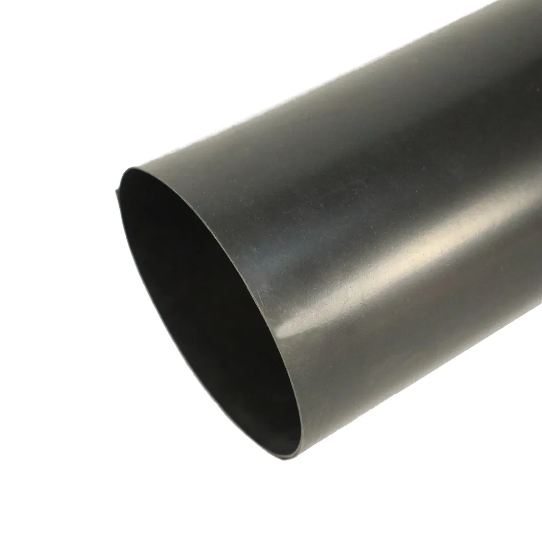 Geomembrane Display 2