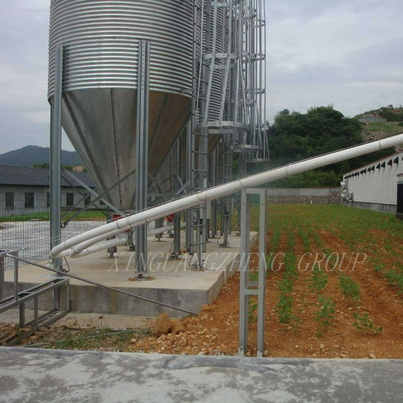 Broiler Chicken Farming House and Equipment