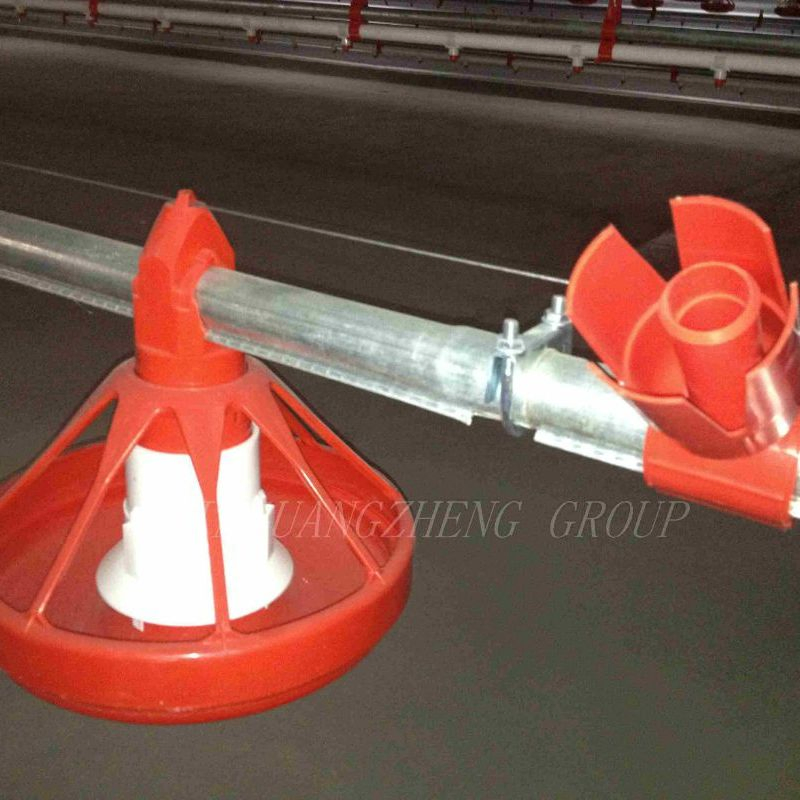 Broiler Chicken Farming House and Equipment