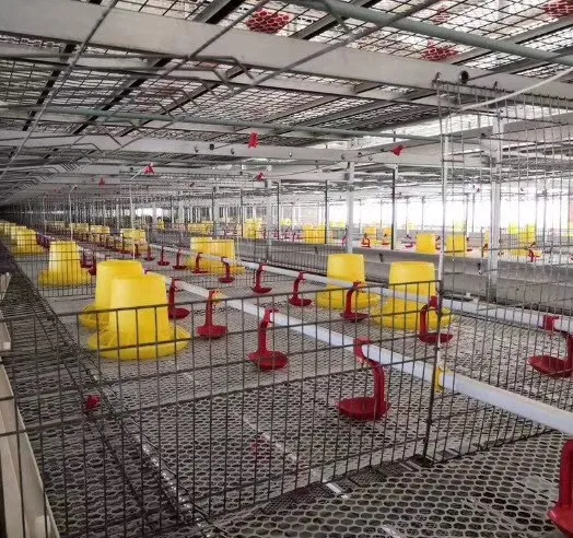 Steel Structure Detail