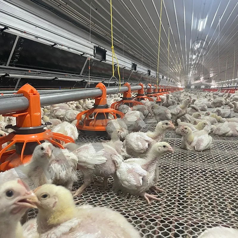 Feed System Component