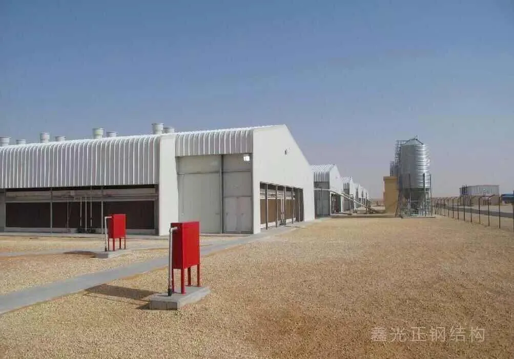 Steel Structure Construction