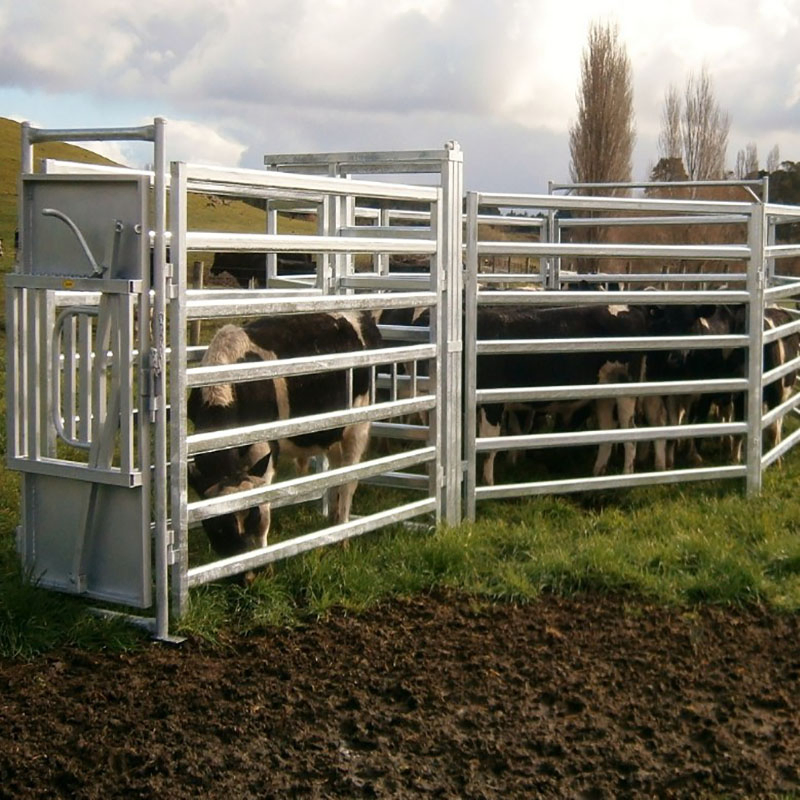 Farm Equipment Livestock Heavy Duty Hot DIP Galvanized Cattle Corral Cattle Yard Panels for Rental