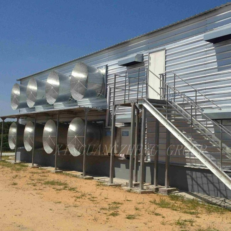 Broiler Chicken Farming House and Equipment