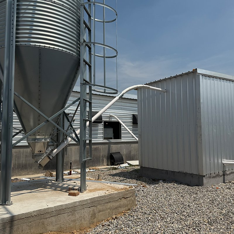 Efficient Chicken House Equipment with Low Labor Requirement Short Construction Time Energy Saving and High Economic Benefits