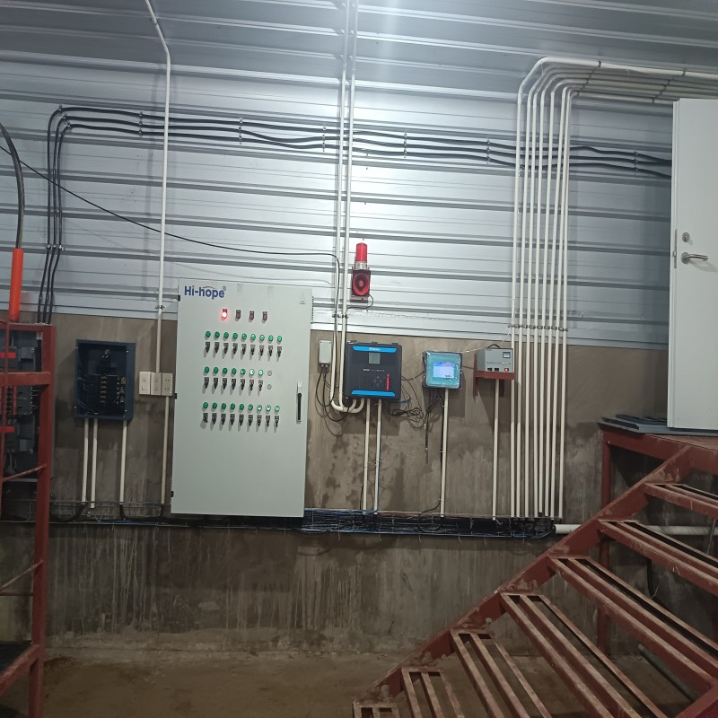 Automatic Feeding and Watering Poultry Equipment Offering Easy Assembly Low Total Price Factory Direct and Turnkey Construction