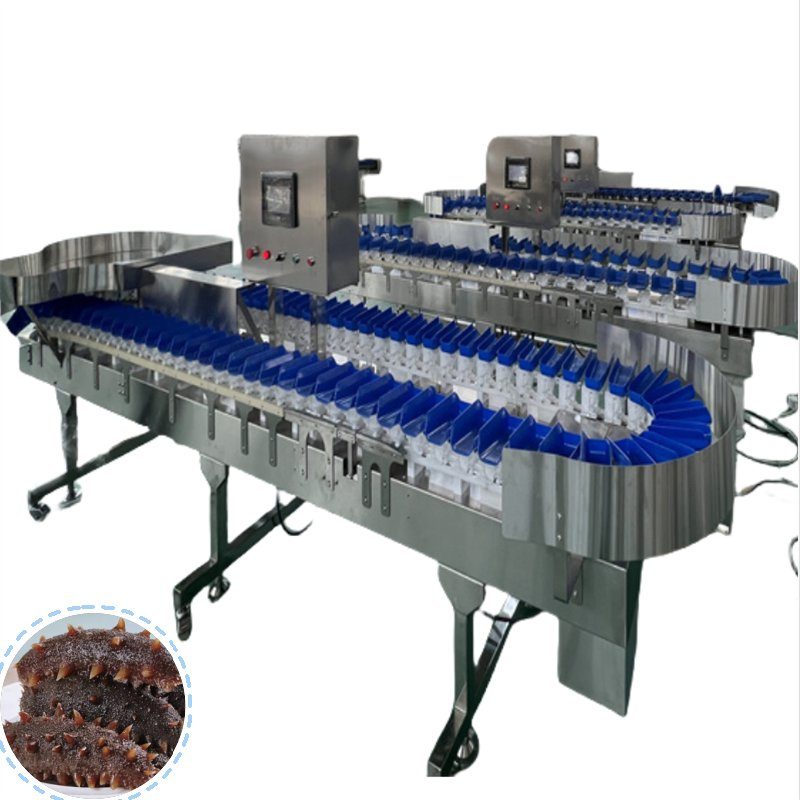 Rotary Saury Weight Grader Equipment