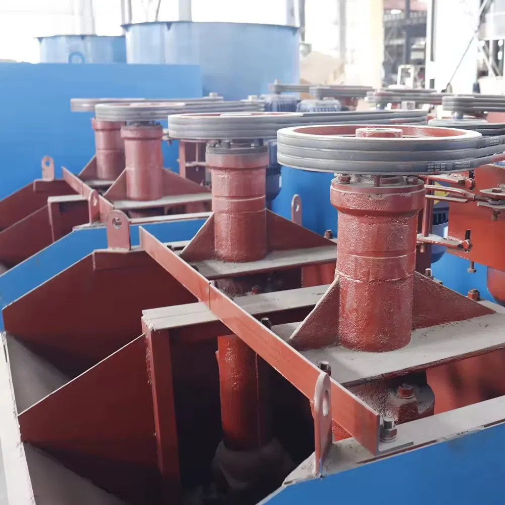 Widely Used Sf Xjk Froth Flotation Plant Machine for Gold Mining