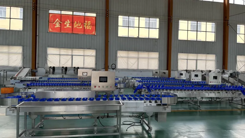 Weight Grader Equipment