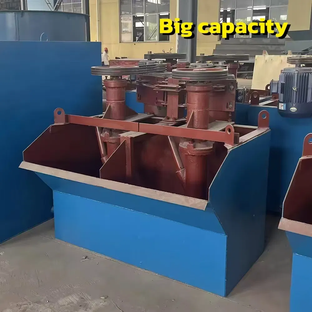 Widely Used Sf Xjk Froth Flotation Plant Machine for Gold Mining