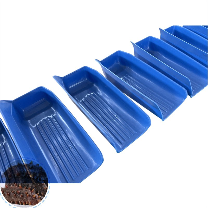 Rotary Saury Weight Grader Equipment