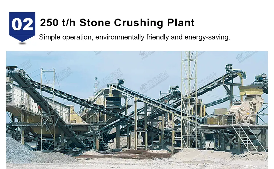 250t/h Plant
