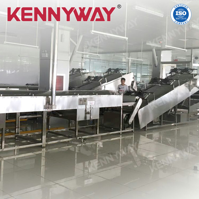 Premium Quality Rice Noodle Manufacturing Equipment for Resale