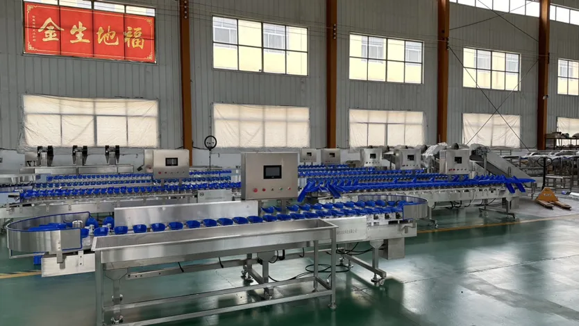 Weight Grader Equipment