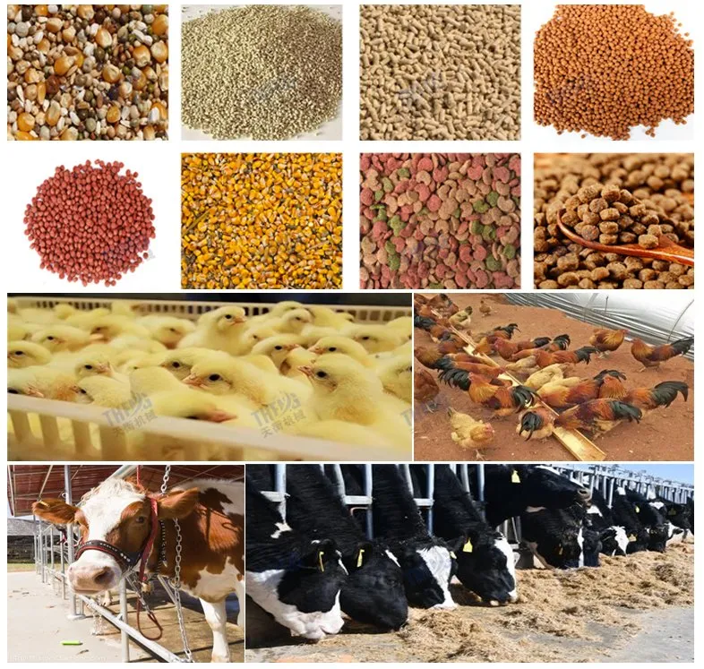 Industrial Feed Mixer