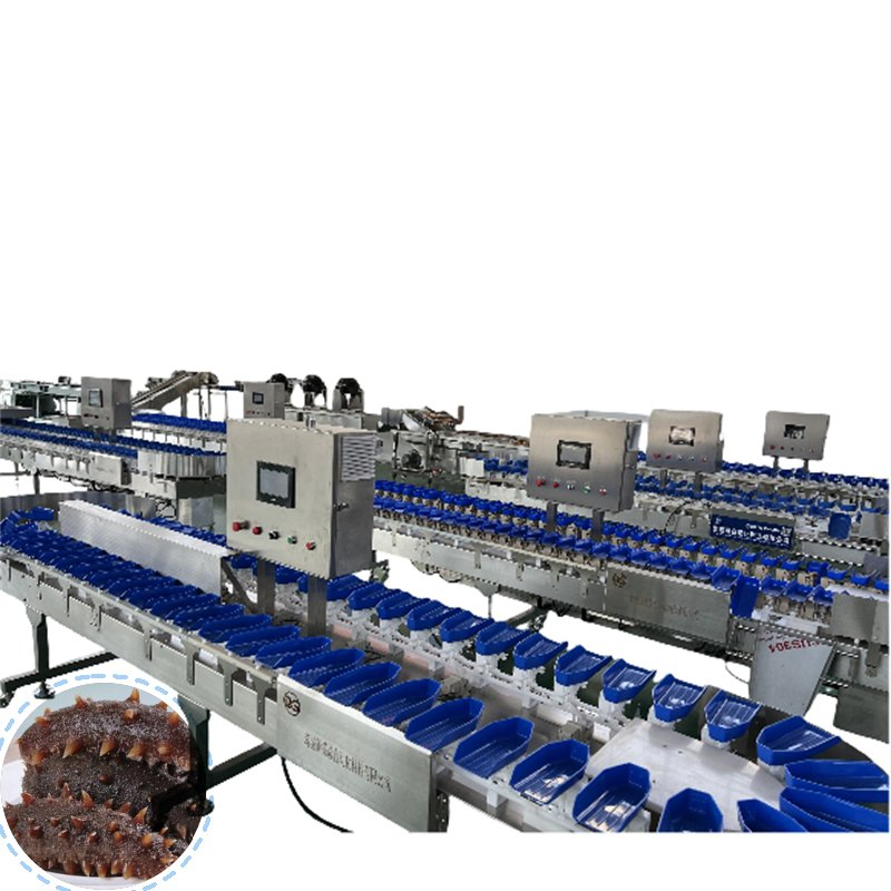 Rotary Saury Weight Grader Equipment