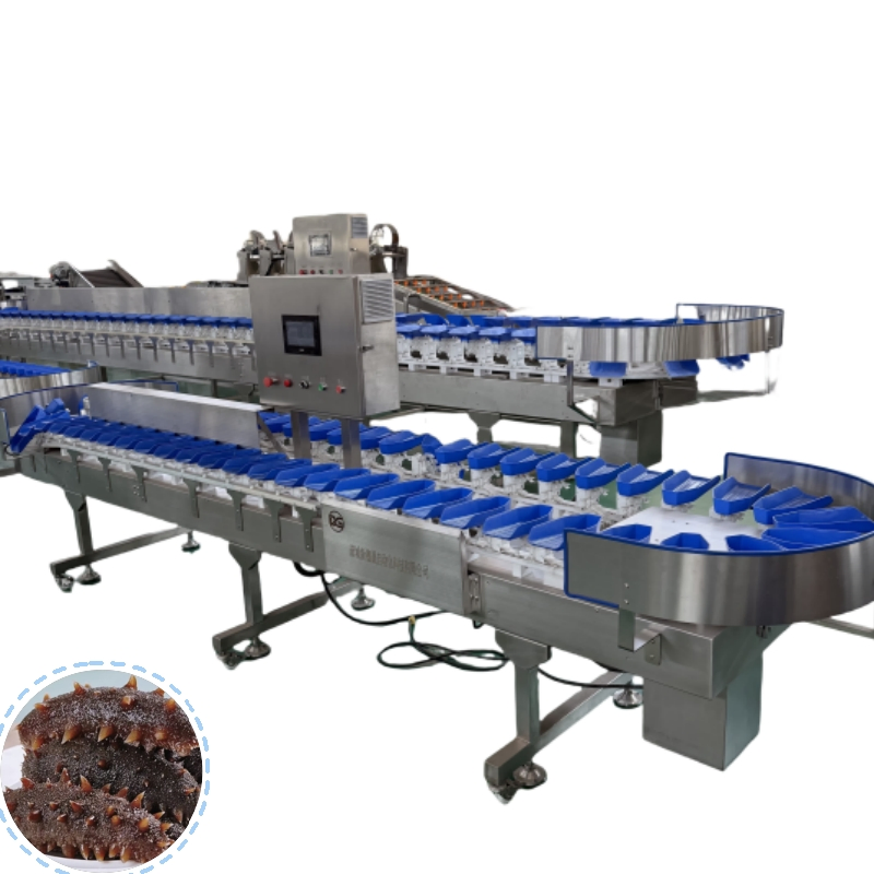 Rotary Saury Weight Grader Equipment