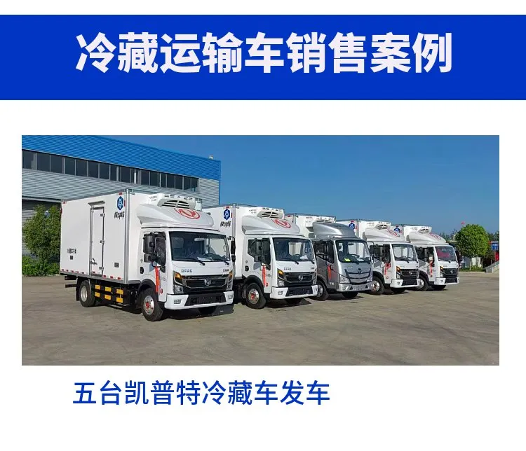 Refrigerated Truck View 8