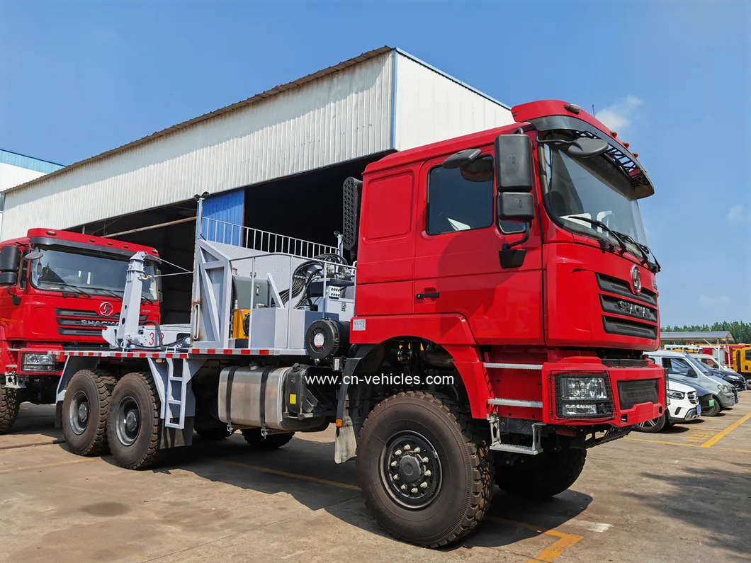 Shacman F3000 Wood Truck 5