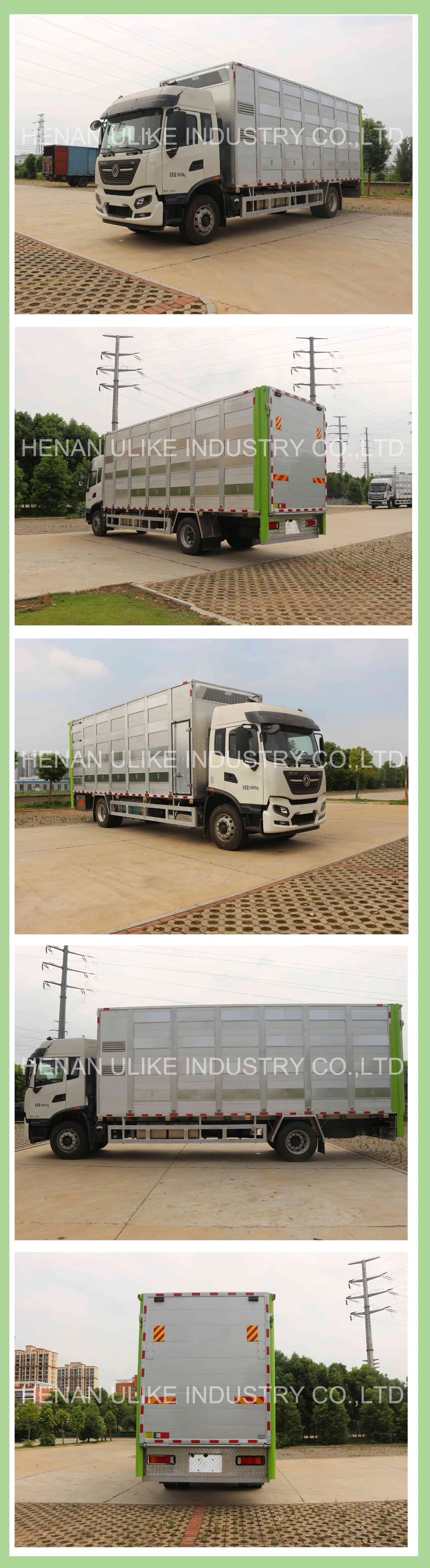 Truck Interior Details