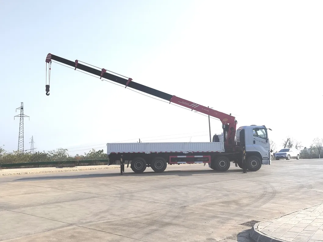 Truck Crane Photo 9