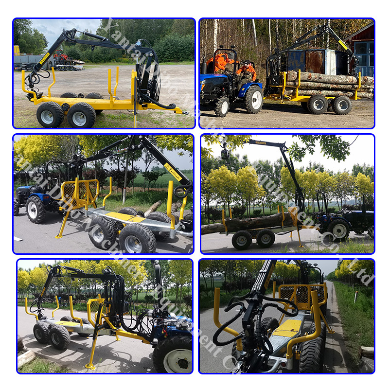 Homemade Small ATV Logging 3ton Trailer with Grapple for Tractor