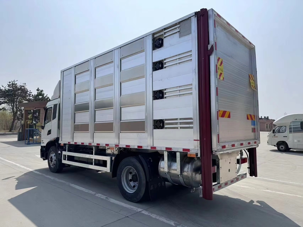 Livestock Transport Truck for Pigs and Cows-Custom Box Sizes, Air Conditioning &amp; Filter Monitoring