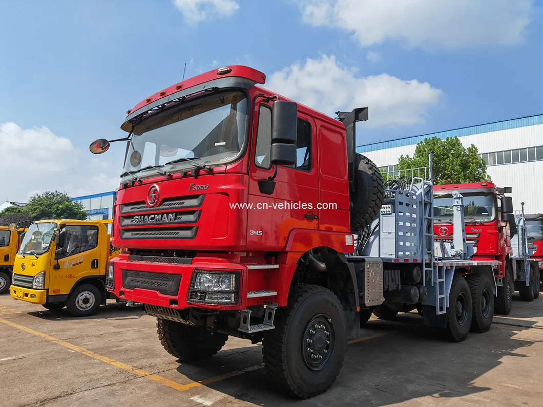 Shacman F3000 Wood Truck 4
