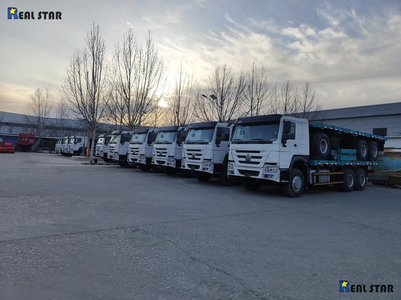 China Factory Sinotruk HOWO 6X4 Cattle Transport 40 Tons Fence Livestock Stake Body Bed Skeleton Skeletal Carrier Box Van Cargo Truck