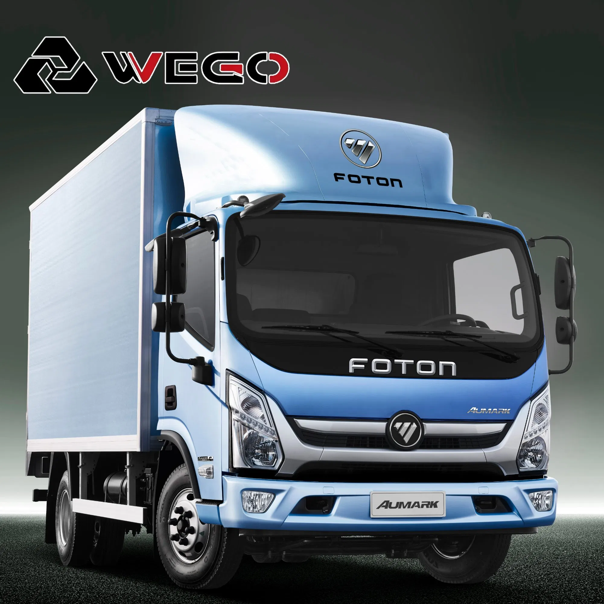 Foton Aumark E Efficient Cargo Hauler Truck