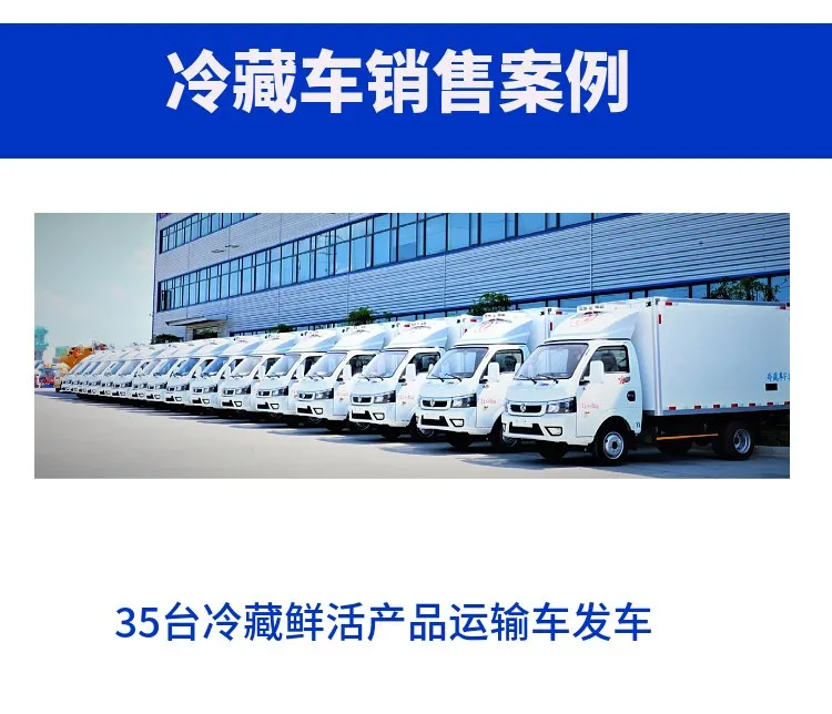 Refrigerated Truck View 9