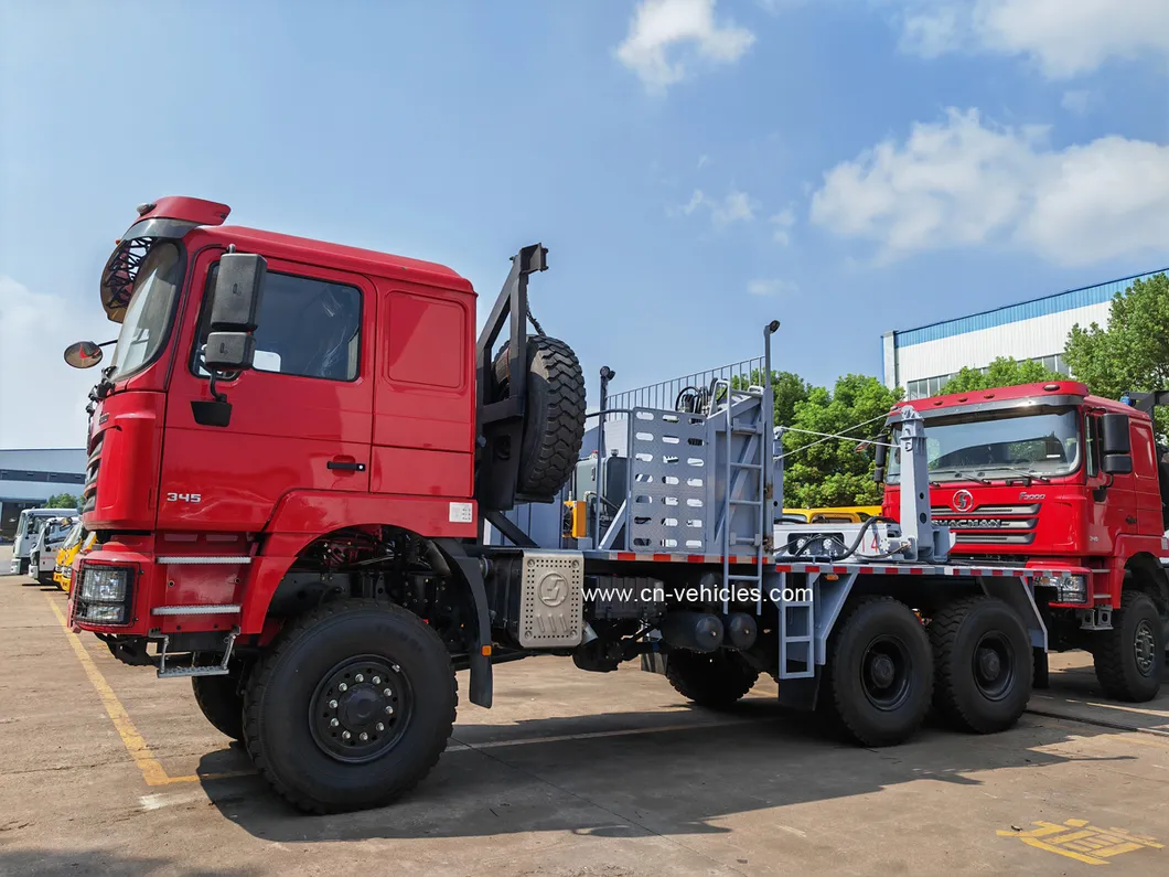Shacman F3000 Wood Truck 2
