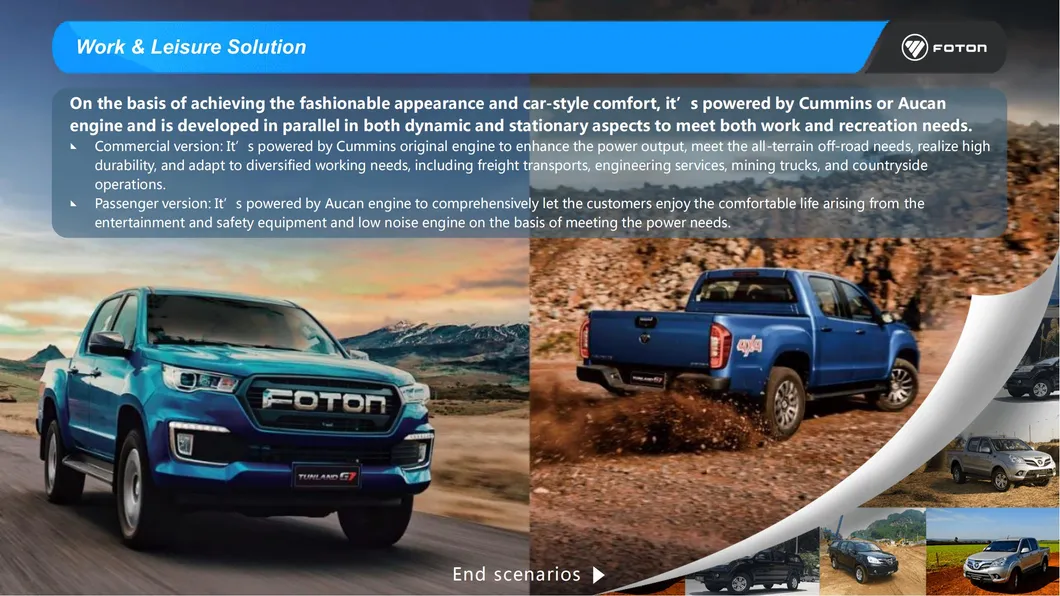 Foton Aumark E Detail 2